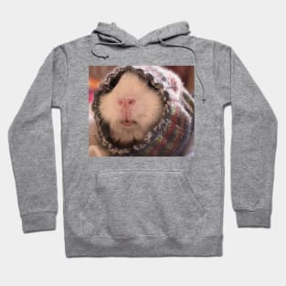 Cute guinea pig in the style of realism Hoodie